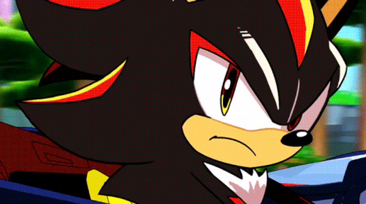 Could Somebody Tell Me Who Shadow S Smiling At In Team Sonic Racing Overdrive Fandom