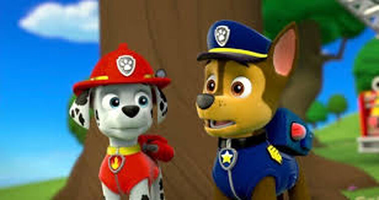 Zuma, Paw Patrol Relation Ship Wiki, Fandom