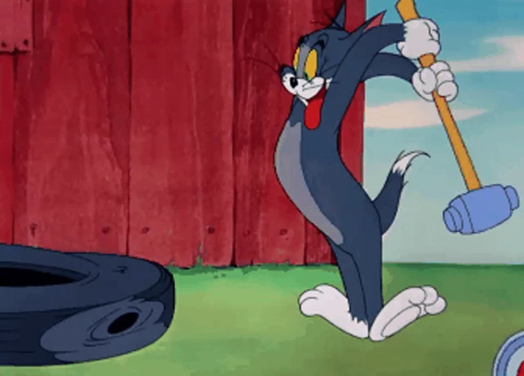 The Tom and Jerry experience Fandom