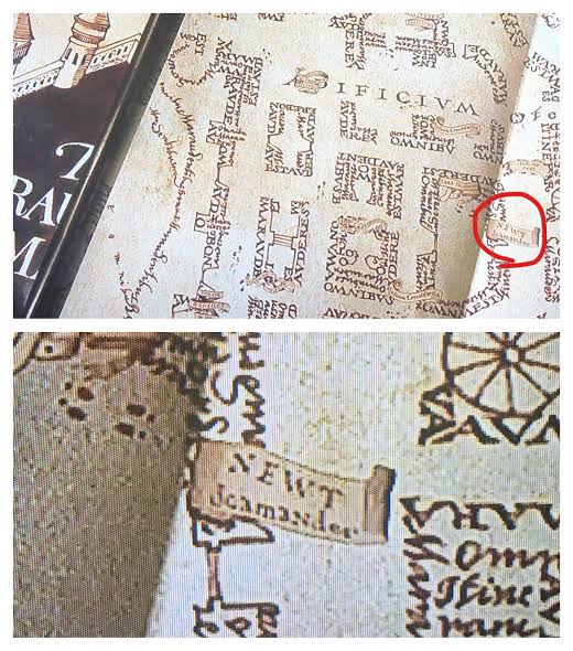 Newt Scamander Marauders Map Newt Scamander In Poa | Fandom