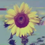 ZeroZeroEight's avatar