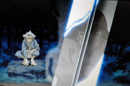 Youko's reflection in the sword.