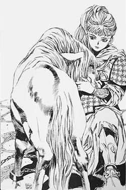 Akihiro Yamada The Twelve Kingdoms Postcard Book art | The Twelve