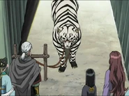 Taiki looking at the Suugu.