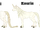 Kirin.png