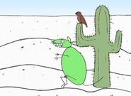 Brown Bird on a cactus