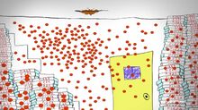 Pepperoni Wave.jpg