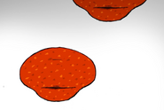 Pepperoni Slices 4