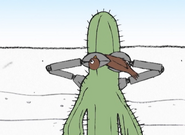 Cactus cuts Bird