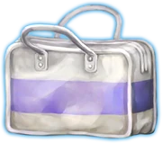 PE Bag (Mystery Files)