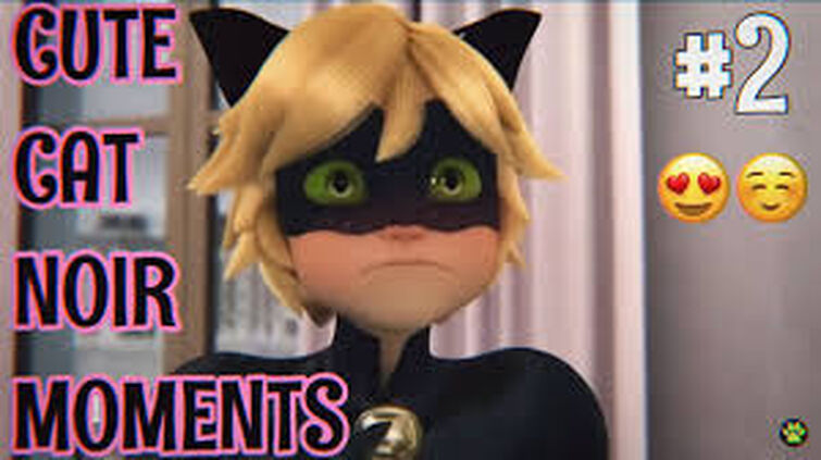 Chat Noir Is So Adorable Fandom