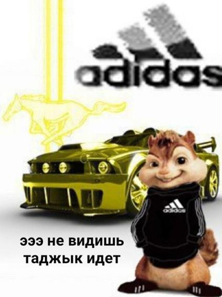 Аватарка бурундук