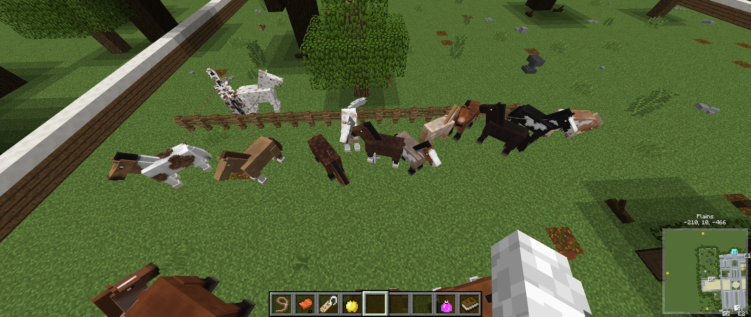 I need names suggestions for mine Minecraft Horses. :D (I am out of