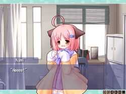 Neko Kawaigari! | 13cm Wiki | Fandom