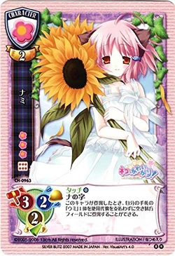 Umi & Nami | 13cm Wiki | Fandom