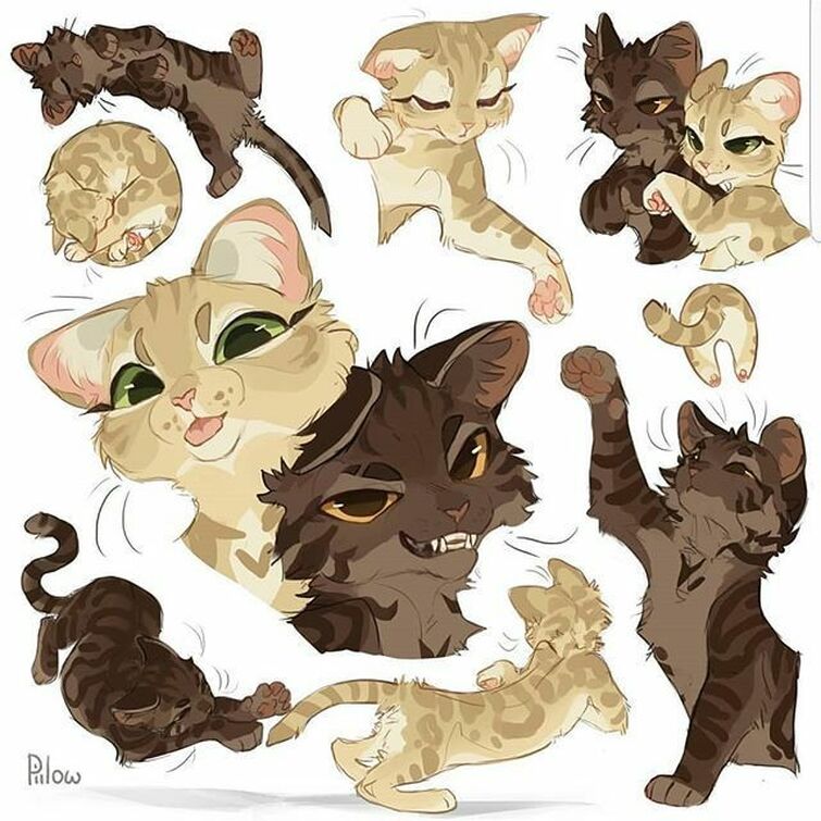 Warrior cats by GrayPillow | Fandom