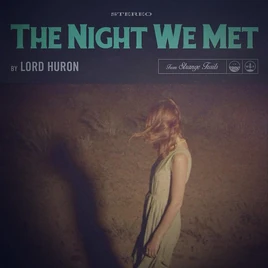 The-Night-We-Met