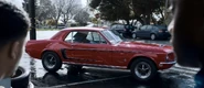 Tony's mustang