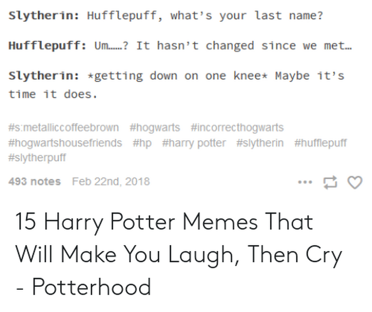 15 Harry Potter Memes That Will Make You Laugh, Then Cry - Potterhood