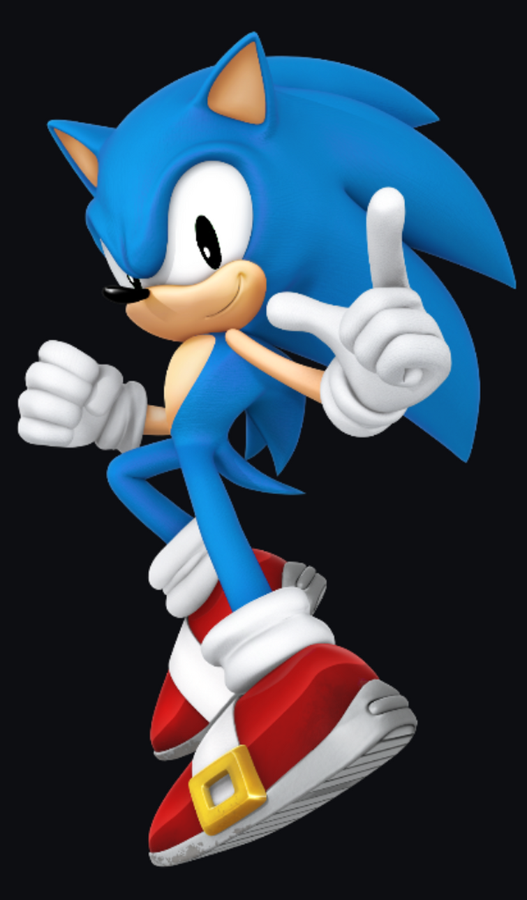 The animator understood the assignment. : r/SonicTheHedgehog