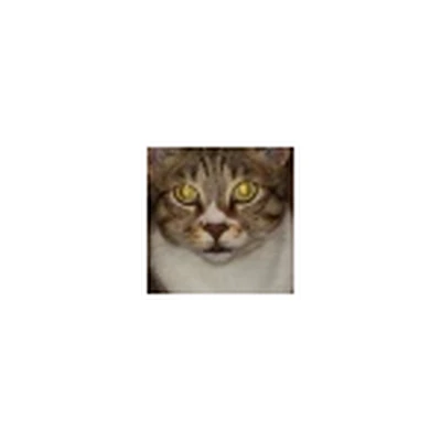 Fandom profile picture for @Talkie