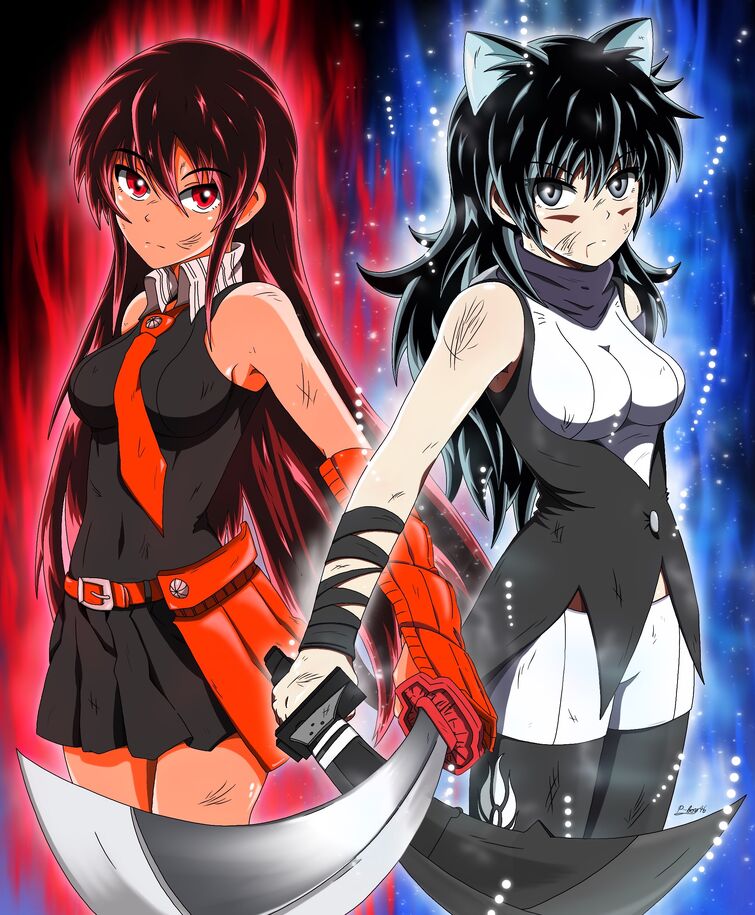 Everything GREAT About: Akame ga Kill! 