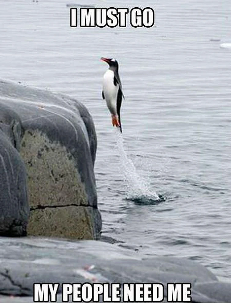 Turns Out That Ethre Is The Strongest Exclusive Fandom