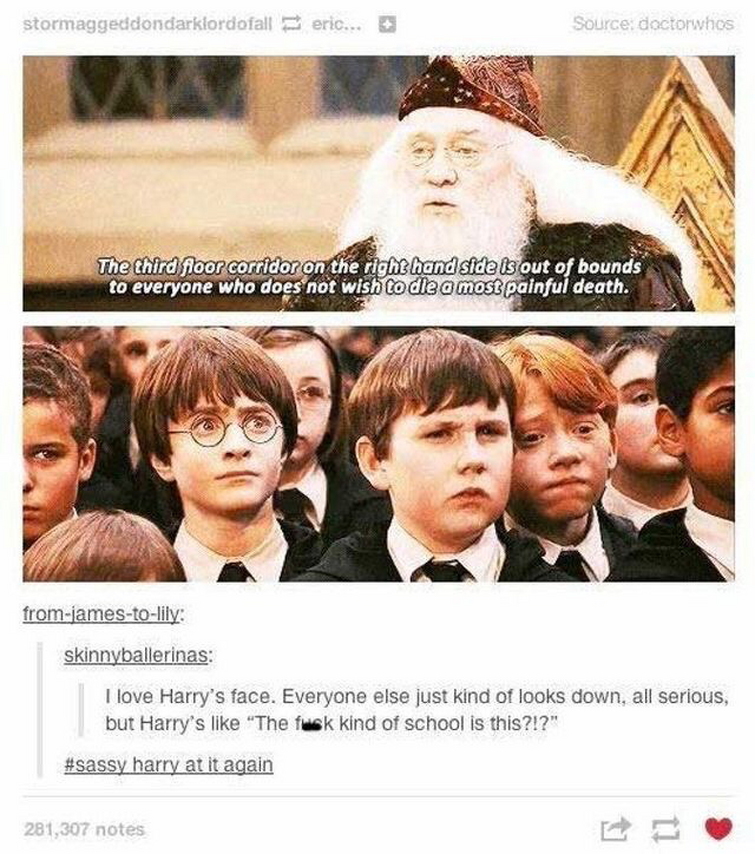 Fandom Image