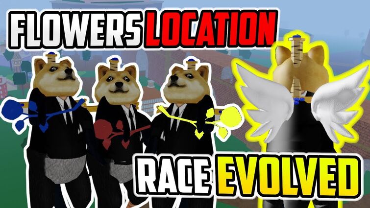 V3] FINAL RACE EVOLUTION IN BLOX PIECE! 