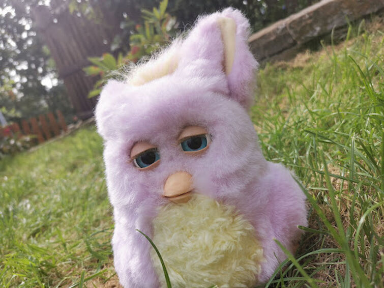Fandom Image