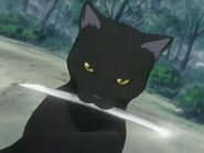 Yoruichi Shihoin Cat