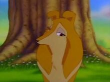 Daisy.jpg