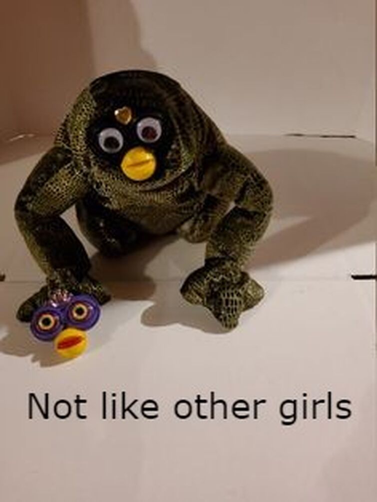 Fandom Image