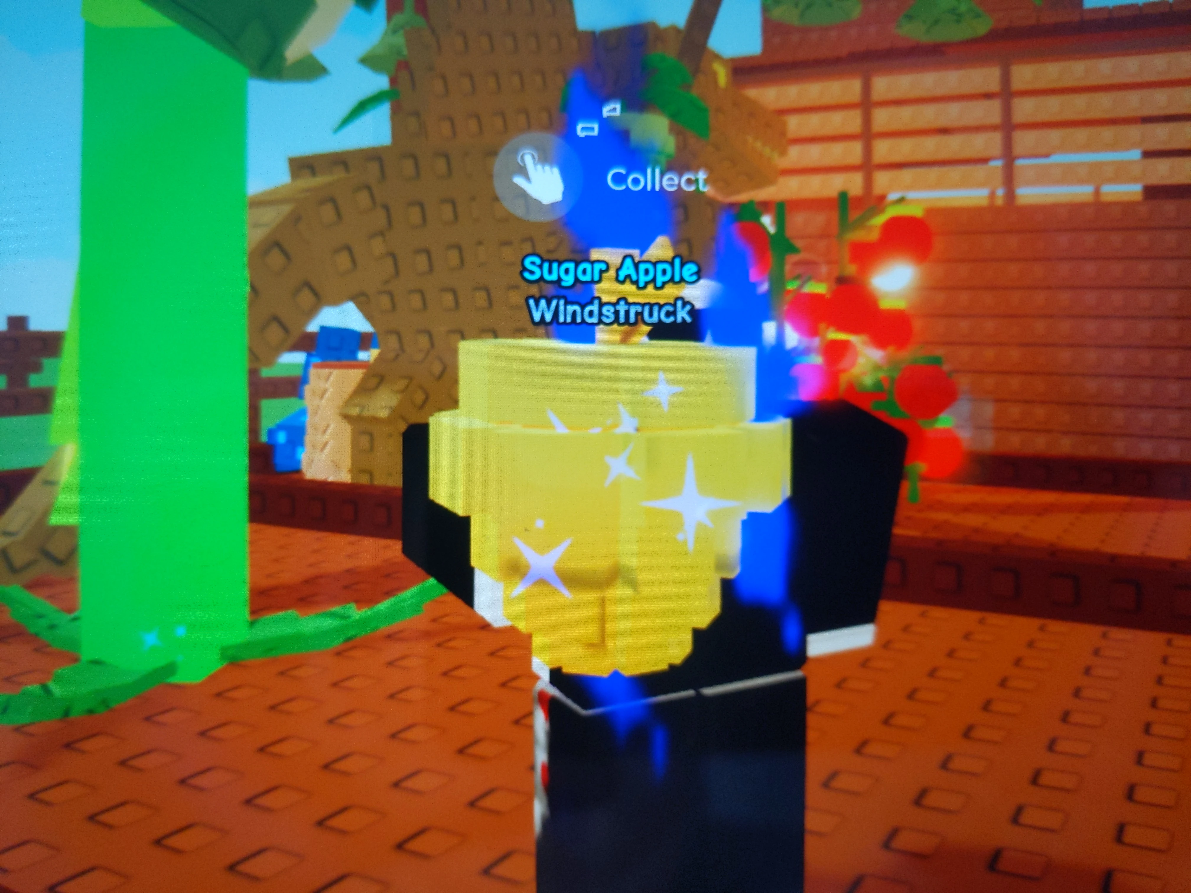 Cool sugar apple | Fandom