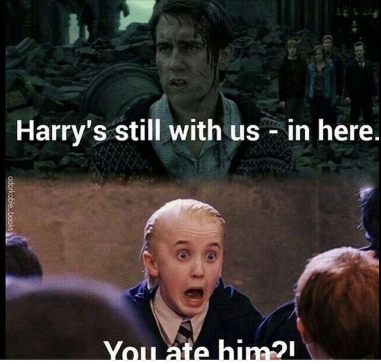 We are all Draco Malfoy!!!!, Harry Potter meme book