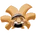 CasuallyViewingThings
