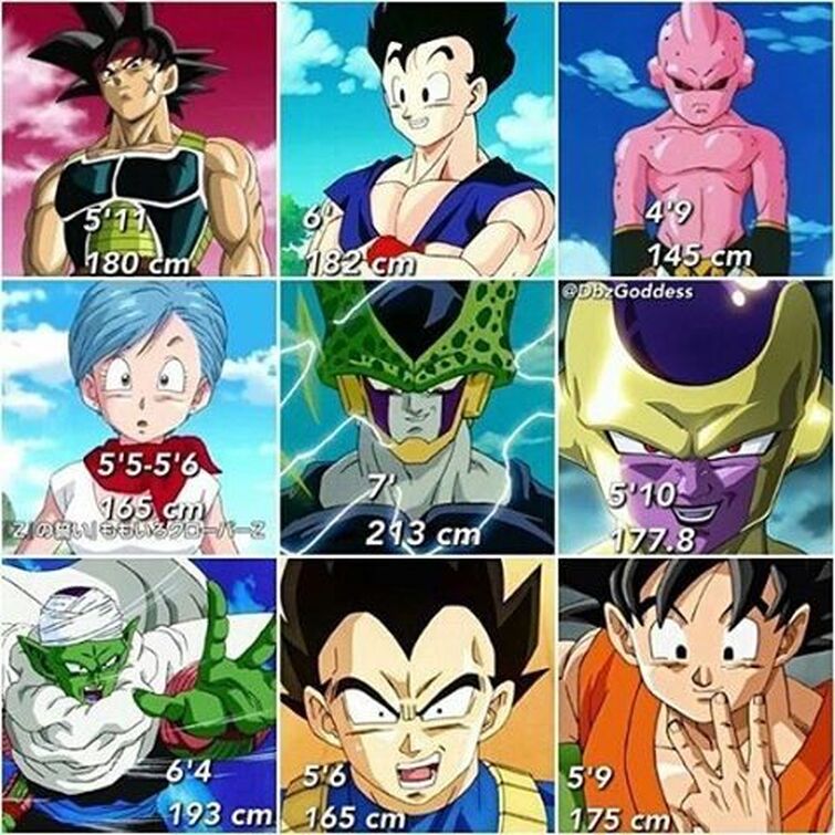 Dragon Ball Super: Every Main Character's Age, Height, And Birthday