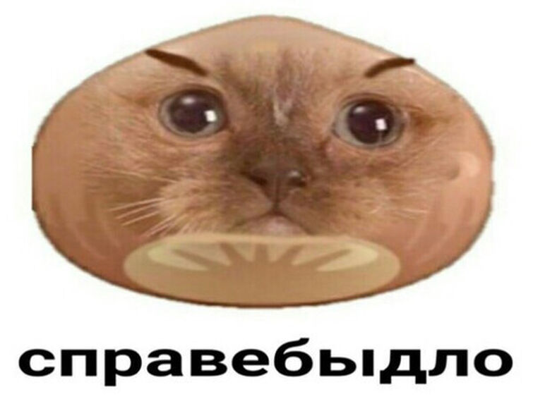 Справебыдло