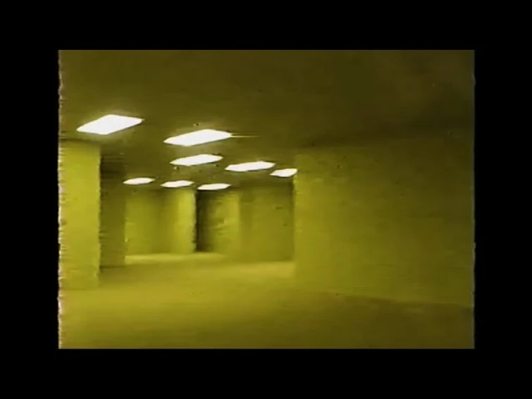 the backrooms found footage, but i put the duller's chase theme over the chase scene