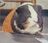 RubythedogeyRevived's avatar