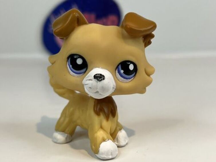 Found a pet on eBay uncertain about its origins. Fandom