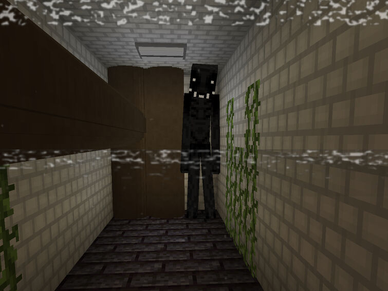 The End in minecraft backrooms: Alternative Edition. Including level 2 and  the entity