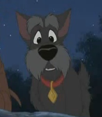 Jock in Lady and the Tramp 2 Scamp's Adventure.jpg
