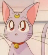 Diana in Sailor Moon Super S the Movie