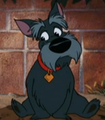 Jock in Lady and the Tramp.jpg