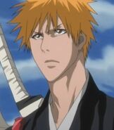 as Ichigo Kurosaki in Bleach (1701Movies Animal Style)