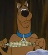 Scooby Doo in Scooby Doo, Where Are You