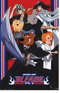 Bleach (1701Movies Animal Style)