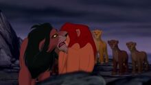 Scar blams simba.jpg