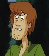 Shaggy Rogers in Scooby Doo on Zombie Island-0